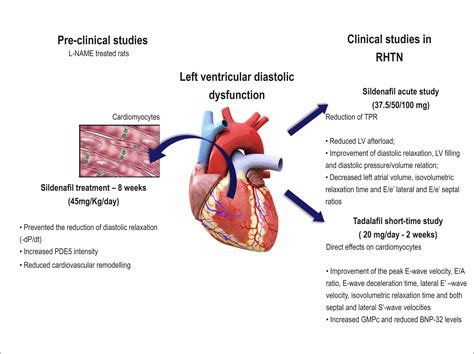 lv chf|preserved left ventricular function meaning.